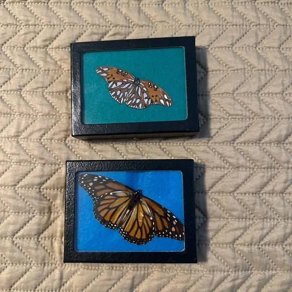 Butterfly Shadow Box Set - Picture 1 of 4